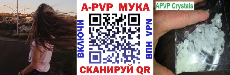 блэк спрут ссылка  Черкесск  Alpha-PVP Соль  купить наркотик 