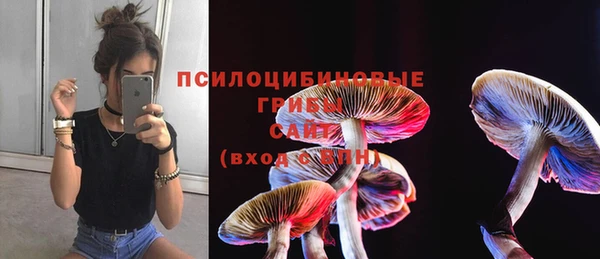 apvp Верхний Тагил