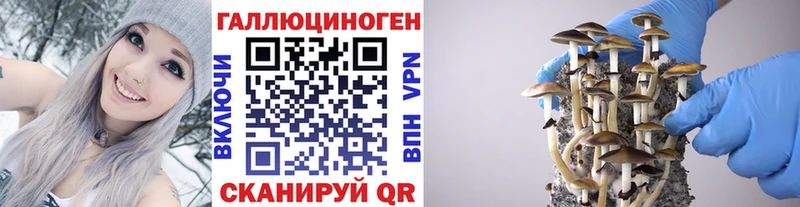 цена   Черкесск  Псилоцибиновые грибы Cubensis 